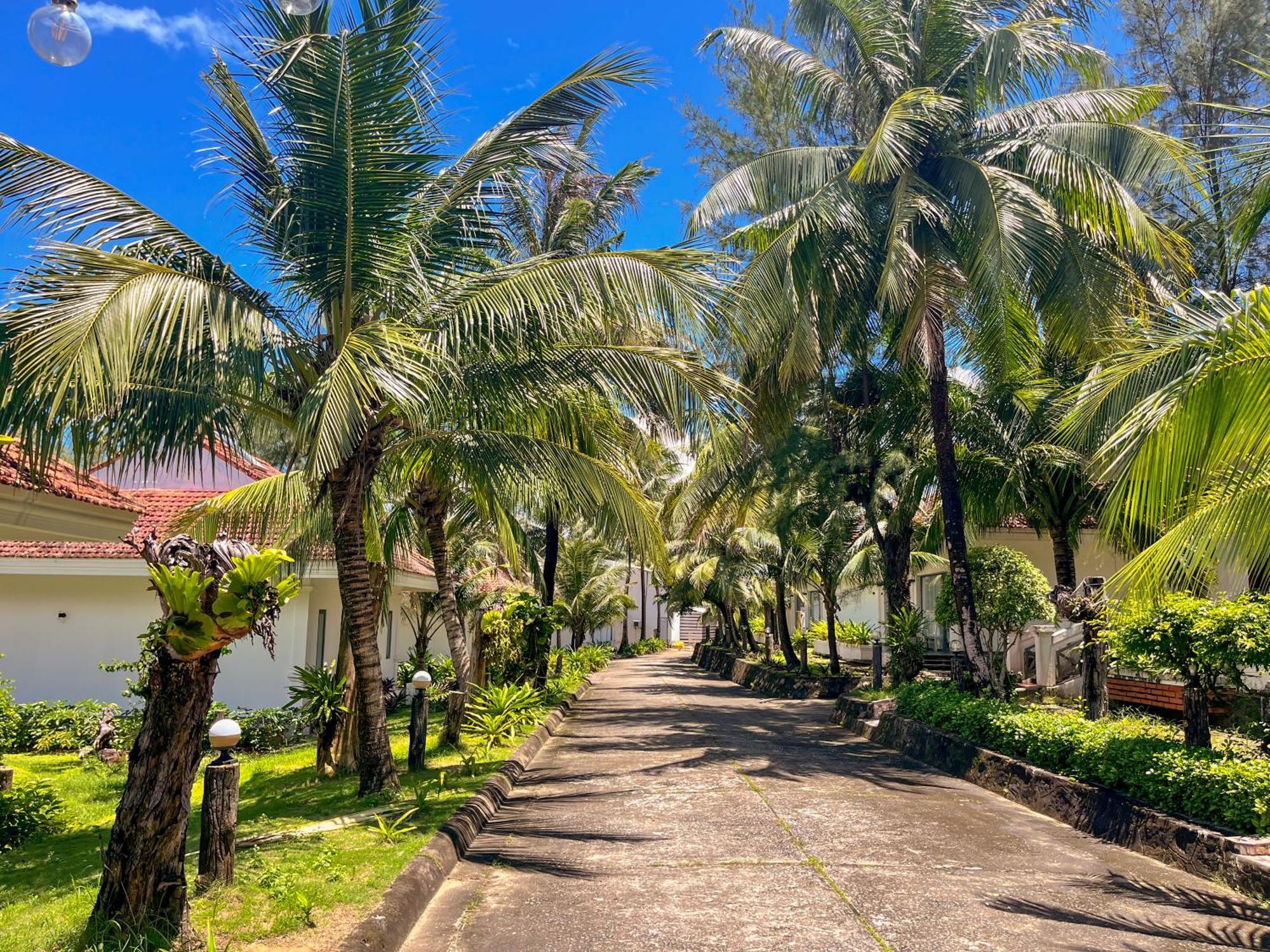 Hawaii Resort دونغ دونغ المظهر الخارجي الصورة